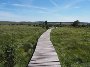 Signal de Botrange (Belgium)